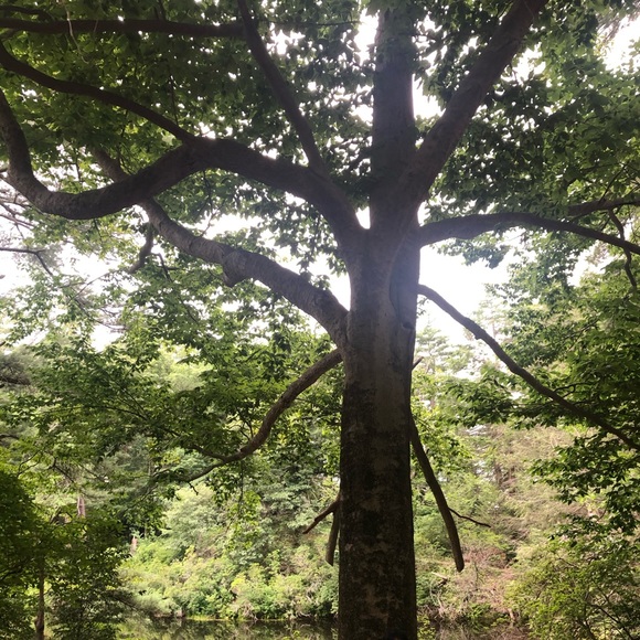 Meet your Posher, Jen - Picture 1 of 1